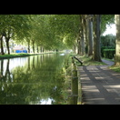 Platanen werfen Schatten auf die ehemaligen Treidelpfade